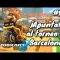 Torneo Mario Kart 8 en Granollers (Barcelona) #111 | Mario Kart 8