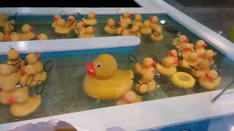 Privado: Pending – Youtube Automatic