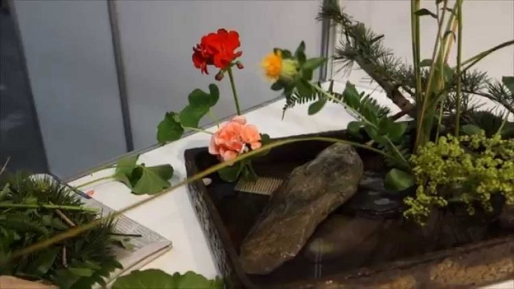 Privado: Pending – Youtube Automatic