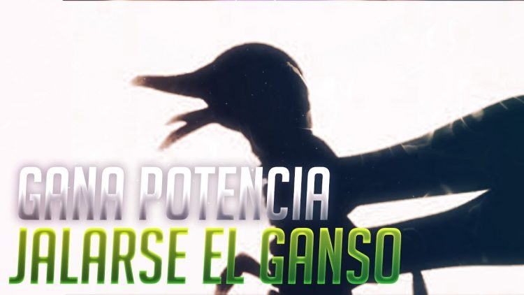 Privado: Pending – Youtube Automatic